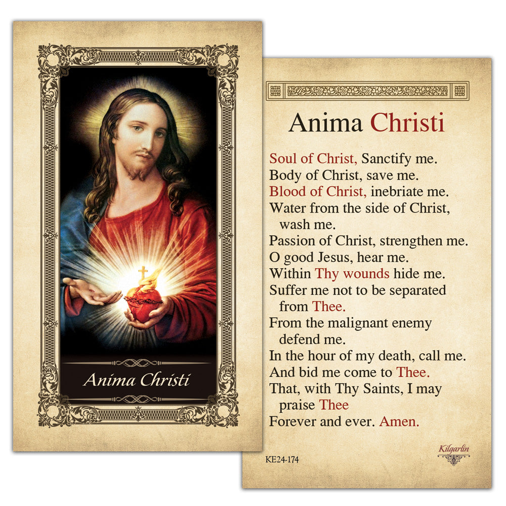 The Anima Christi: Prayer of Incarnation: Gray, Michelle: 9781514192825:  Amazon.com: Books